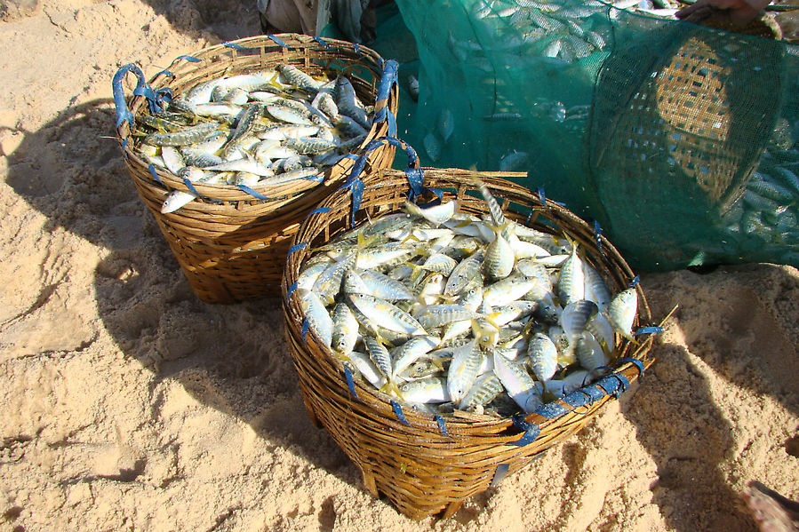 Ловись рыбка Муй-Не, Вьетнам