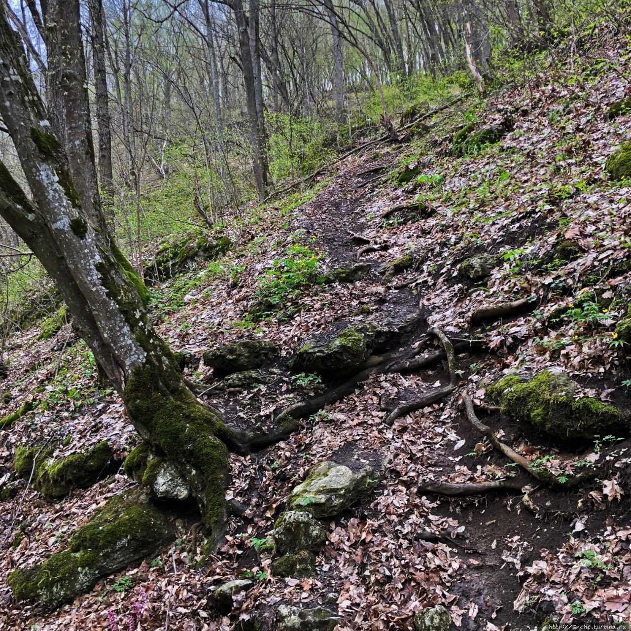 Водопады Сахарна Сахарна, Молдова