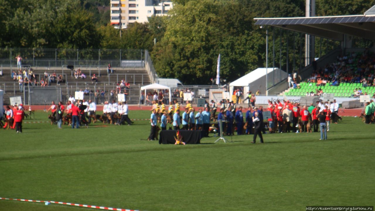 Зигер в Ульме Ульм, Германия Зигер в Ульме Ульм, Германия