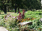 Цветочная горка  —  непременный атрибут японских садов. Ближним планом