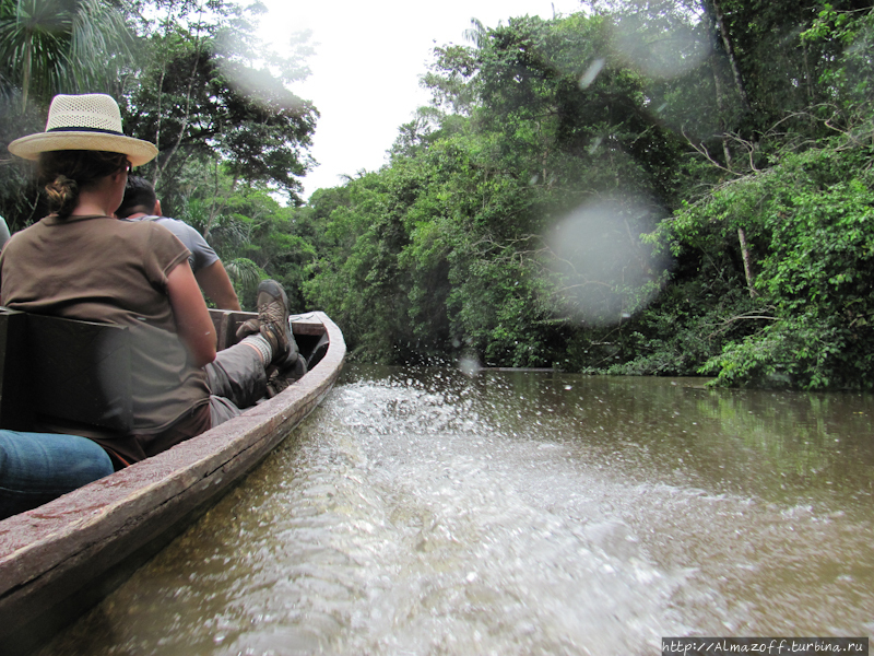 Увидеть живую анаконду в джунглях Амазонки! Национальный парк Куябено, Эквадор