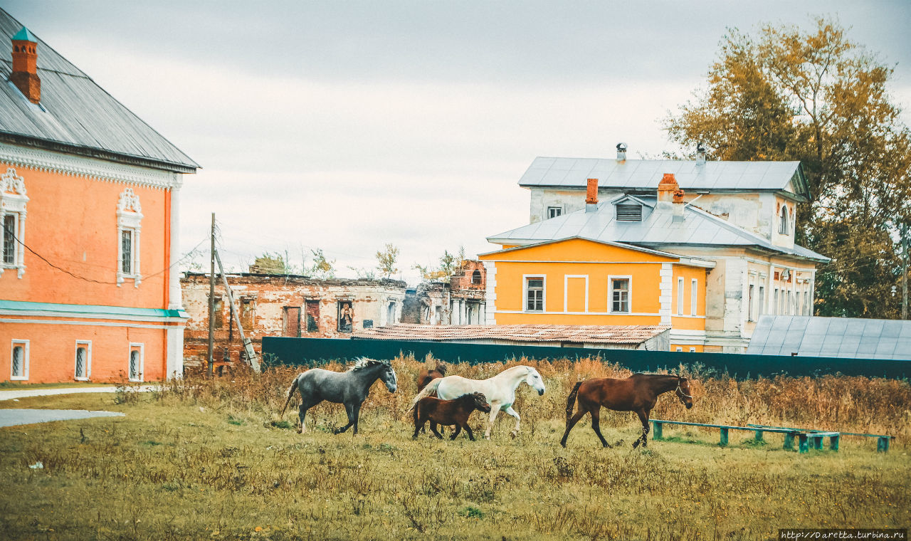 Усолье – заповедное место старины Усолье, Россия