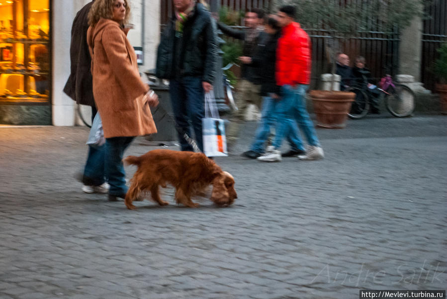 Рим вечерний Рим, Италия