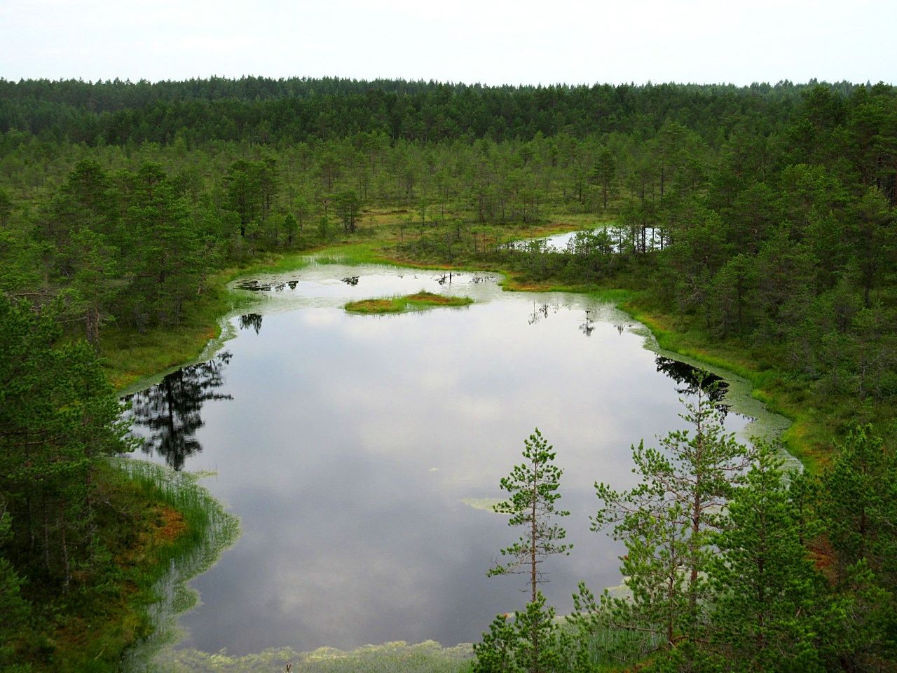 Всяк кулик свое болото хвалит Эстония