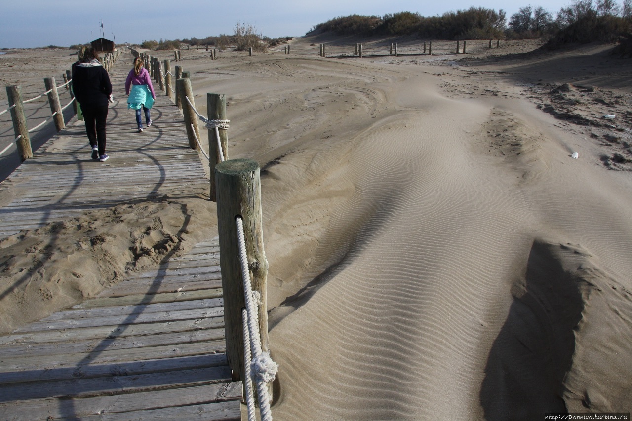 Дюны в дельте Эбро Риумар, Испания