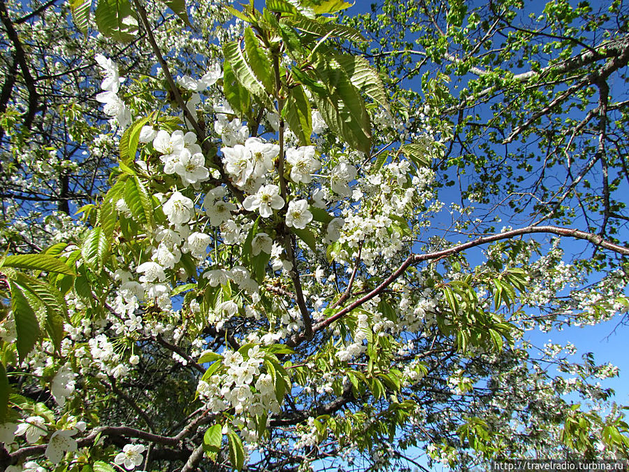 Колка, национальный парк Слитере