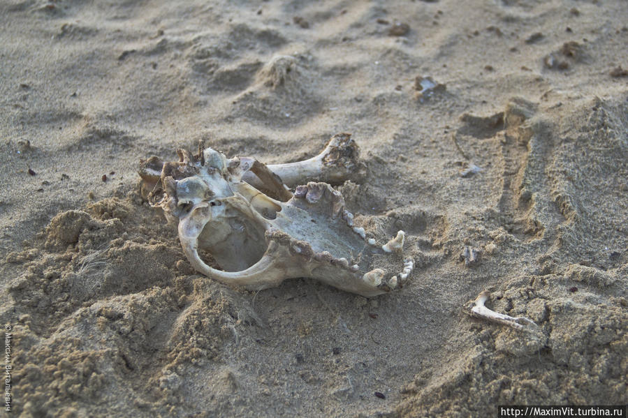 Чебоксары — 