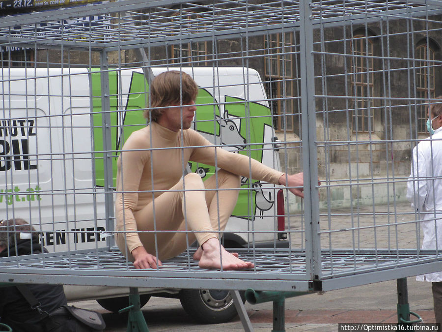 К чему они призывают? Вена, Австрия