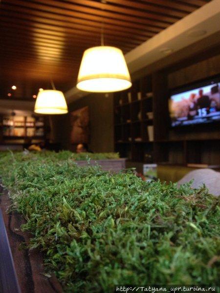 сан-пиццерино / san-pizzerino