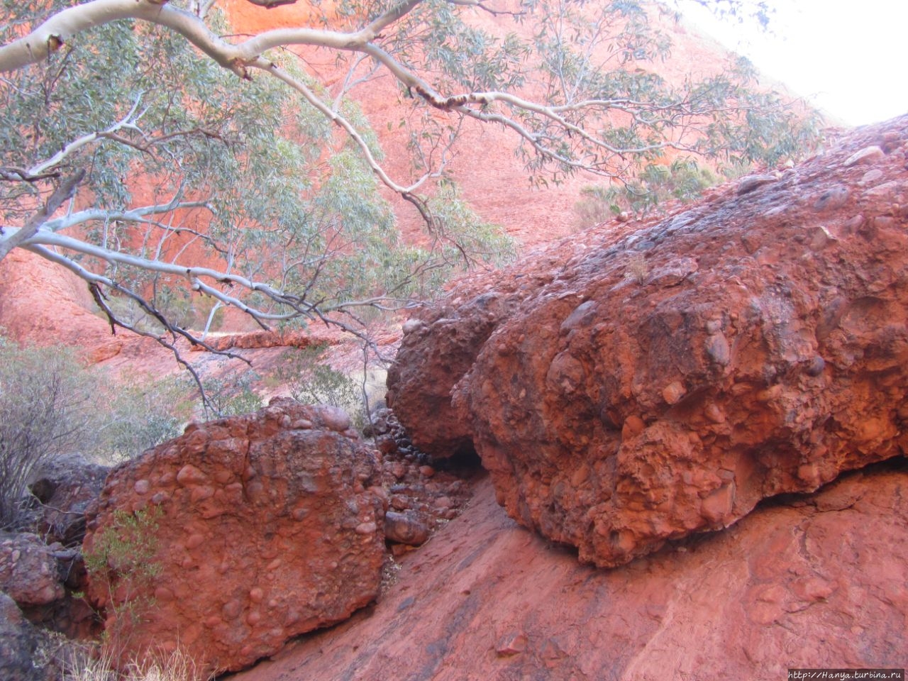 Ката Тьюта (Ольгас) Улуру — Ката-Тьюта Национальный Парк, Австралия