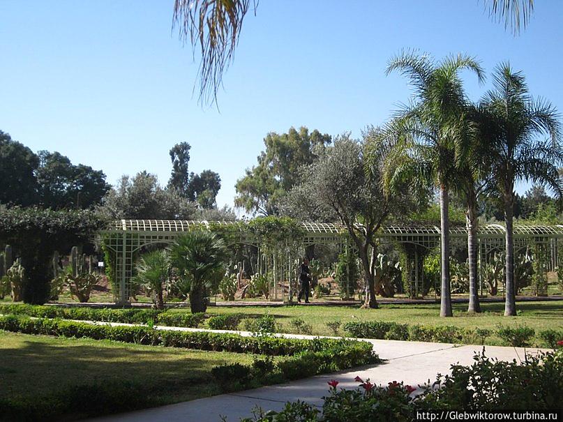 Марракеш сады и музеи Марракеш, Марокко