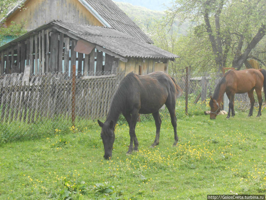 Под грозовым небом Мезмая Мезмай, Россия