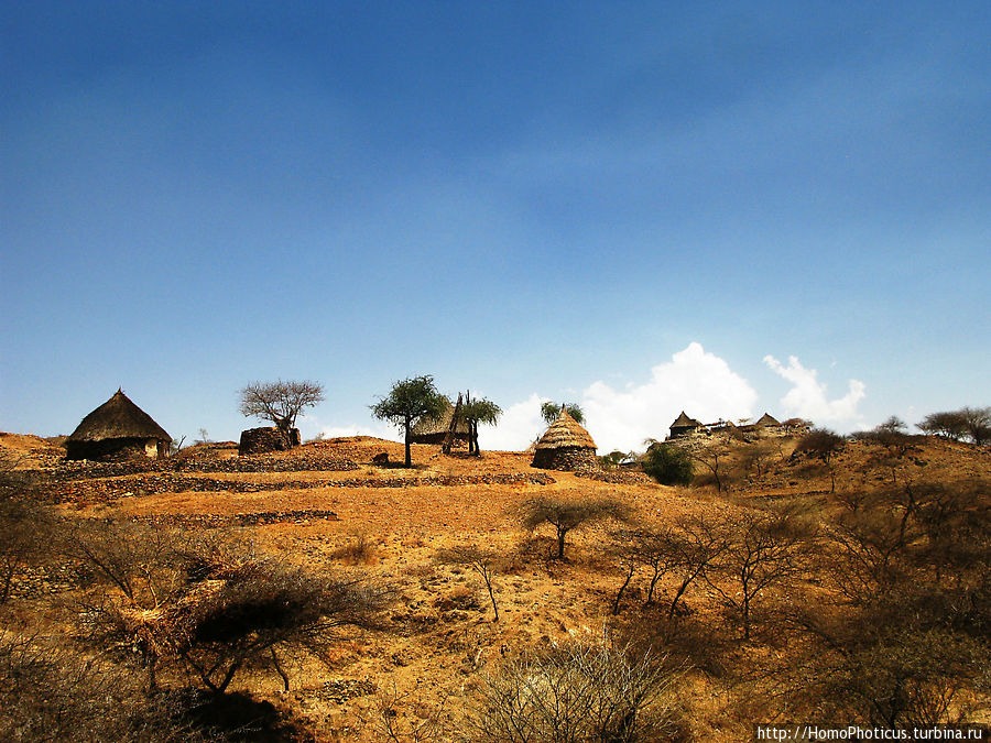 В земле тиграев и баобабов Провинция Ансэба, Эритрея