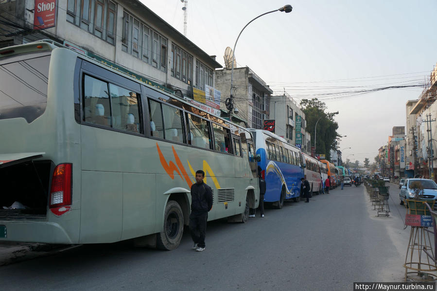 Каждое   утро   перед   входом   в    старый   город    выстраивается   вереница   туристических   автобусов.  Билеты   нужно   покупать    заренее.  Из   всех   автобусов    нужно   найти   свой,   иначе  можно   уехать    совершенно   в  другом    направлении. Покхара, Непал