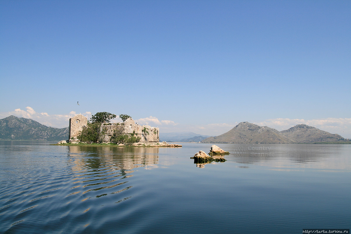 Фото из Интернета Скадарское озеро, Черногория