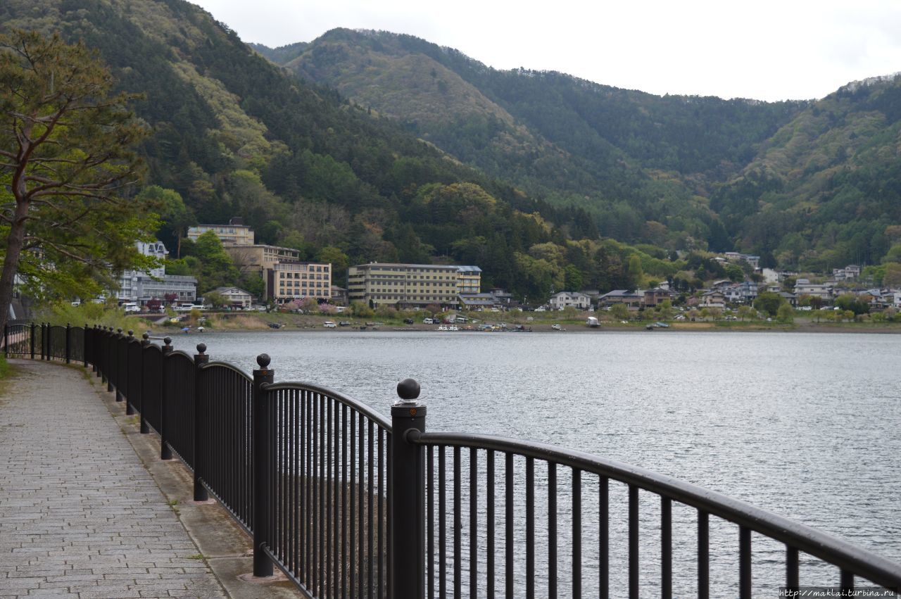 Фудзи – «по пояс» или… в 5 часах от бессмертия Кавагути, Япония