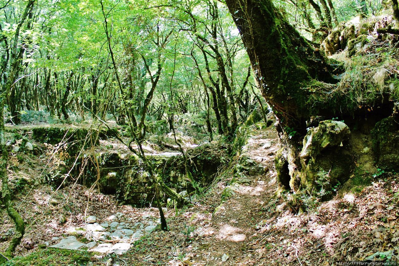 Моё покорение Врмац #4 / Тёмный лес Прчань, Черногория