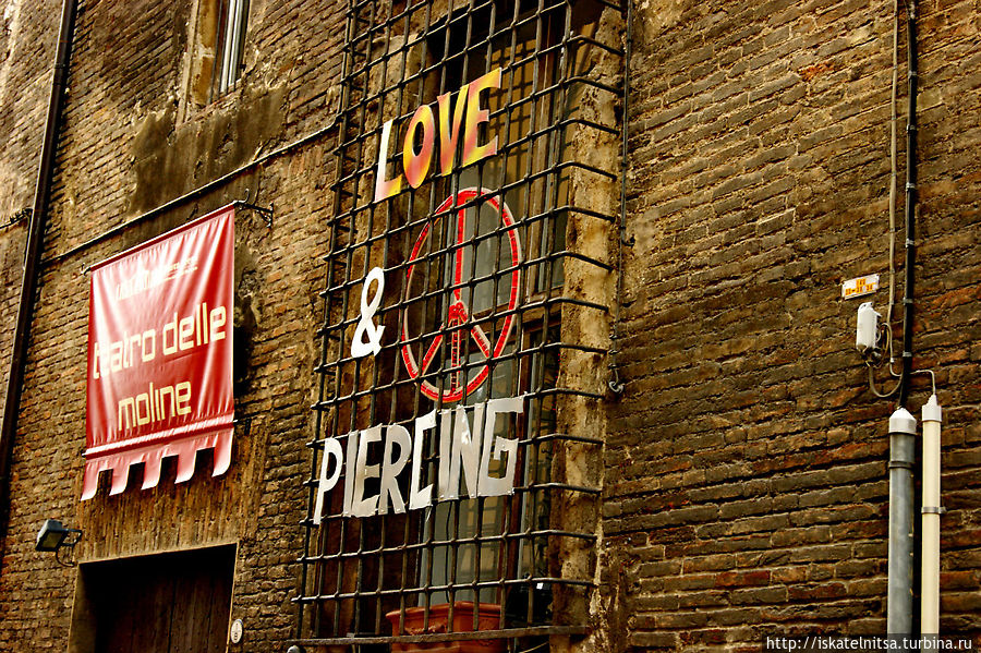 Все по-разному выражают свою любовь к пирсингу