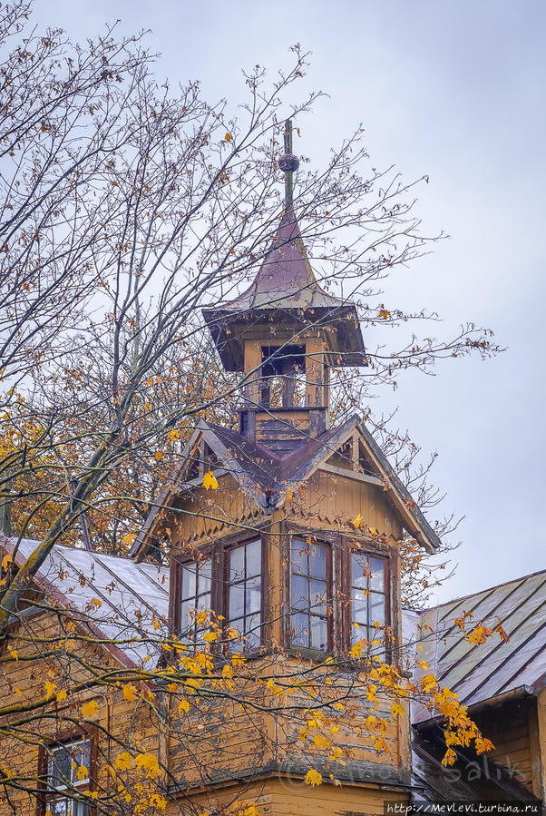 Романтическая осень в парке Аркадия Рига, Латвия