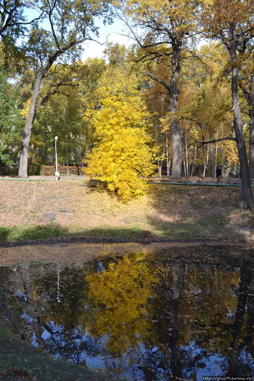 Городской парк культуры и отдыха 