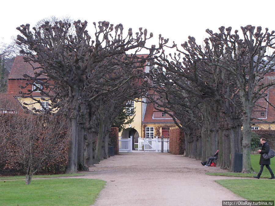 Одна из старинных аллей.