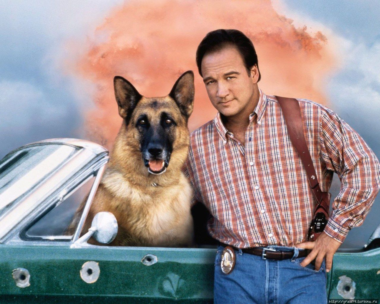 Кот и пес фильм