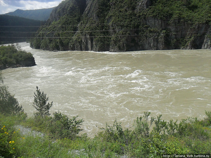 Воды мутные в июне из-за снеготаяния высоко в горах, в июле вода бирюзовая Алтайский край, Россия
