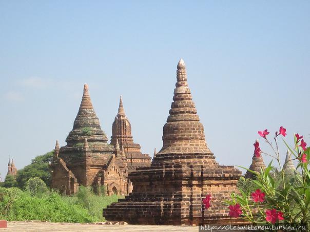Дорога короля Анавраты перед  старым Баганом Баган, Мьянма