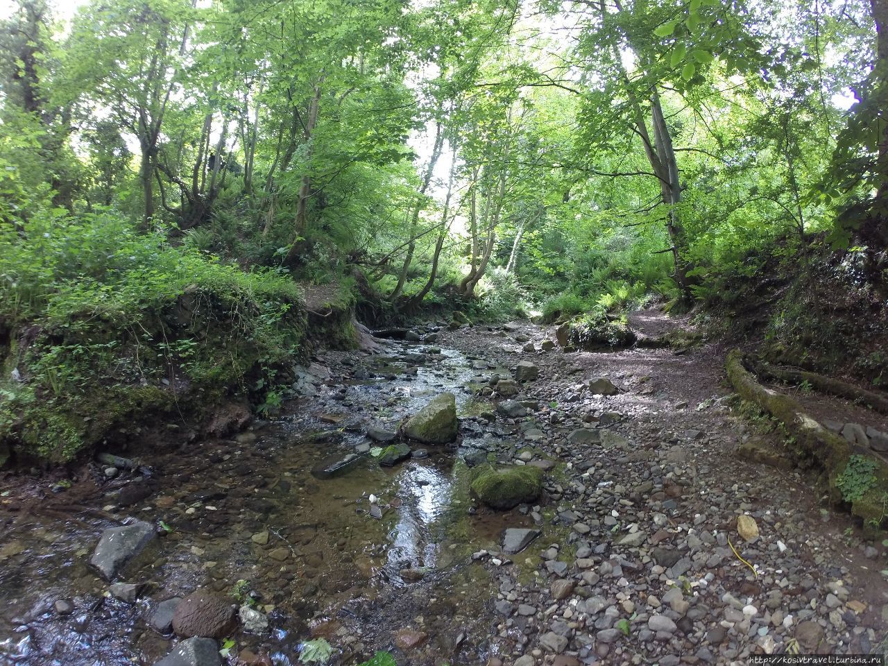 Первым делом — Шанкилл Роуд Белфаст, Великобритания