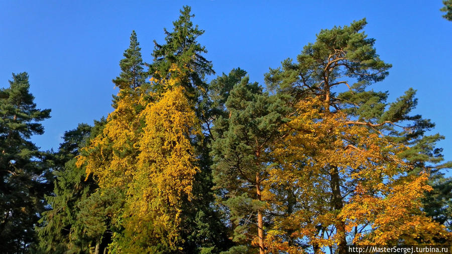 Осень в Паланге Паланга, Литва