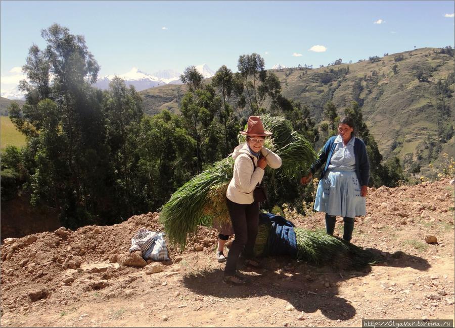 Взятие веса Уарас, Перу