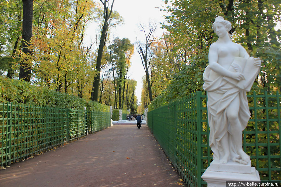 Летний сад осенью в санкт петербурге