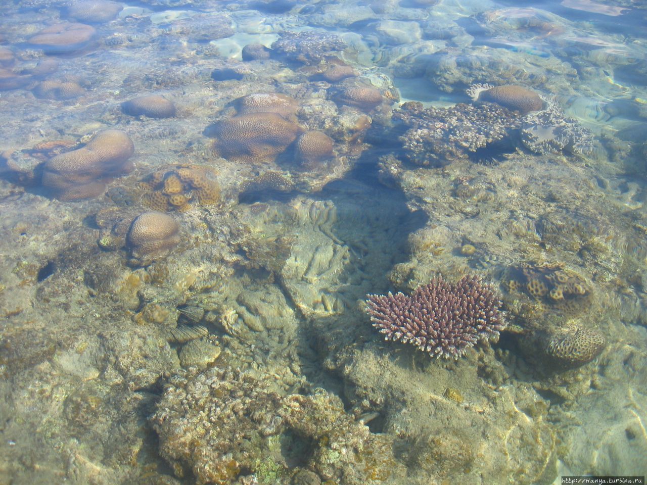 Пляж отеля Berjaya Tioman Beach Пулау-Тиоман, Малайзия