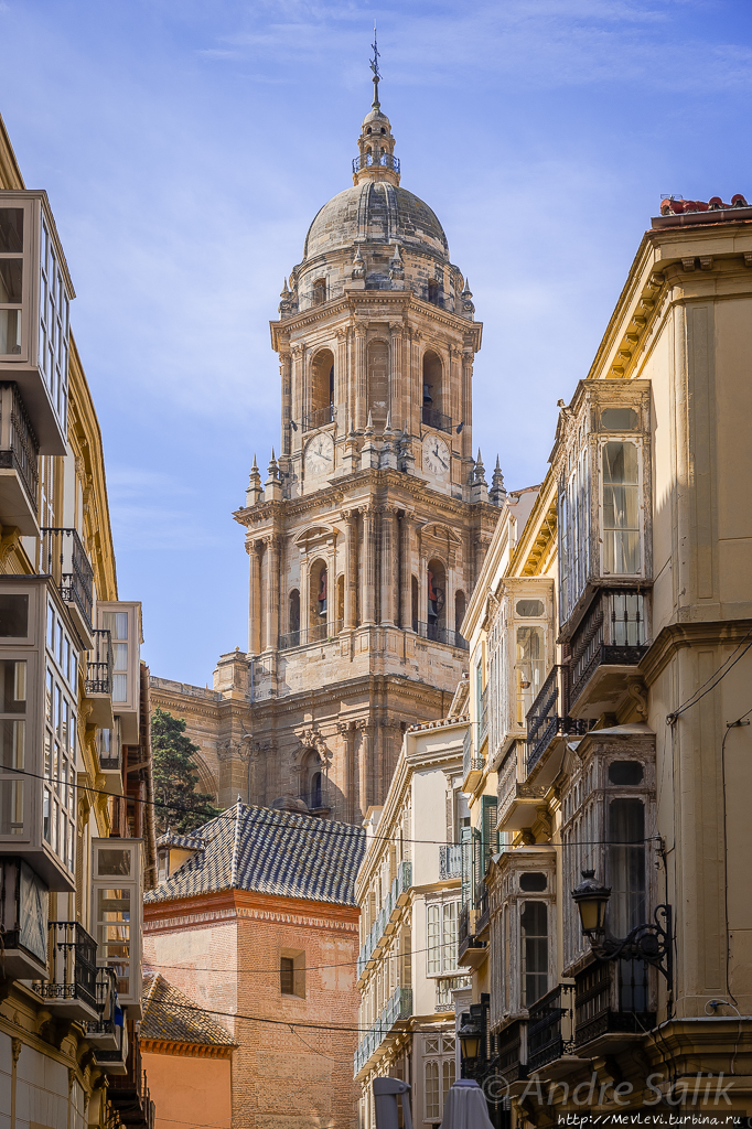 AC Hotel Málaga Palacio Малага, Испания