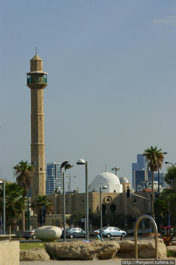 Субботнее утро на тель-авивской набережной. Израиль