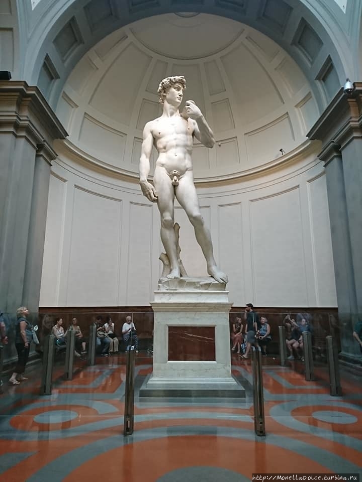 Галерея Академии изящных искусств Флоренция, Италия