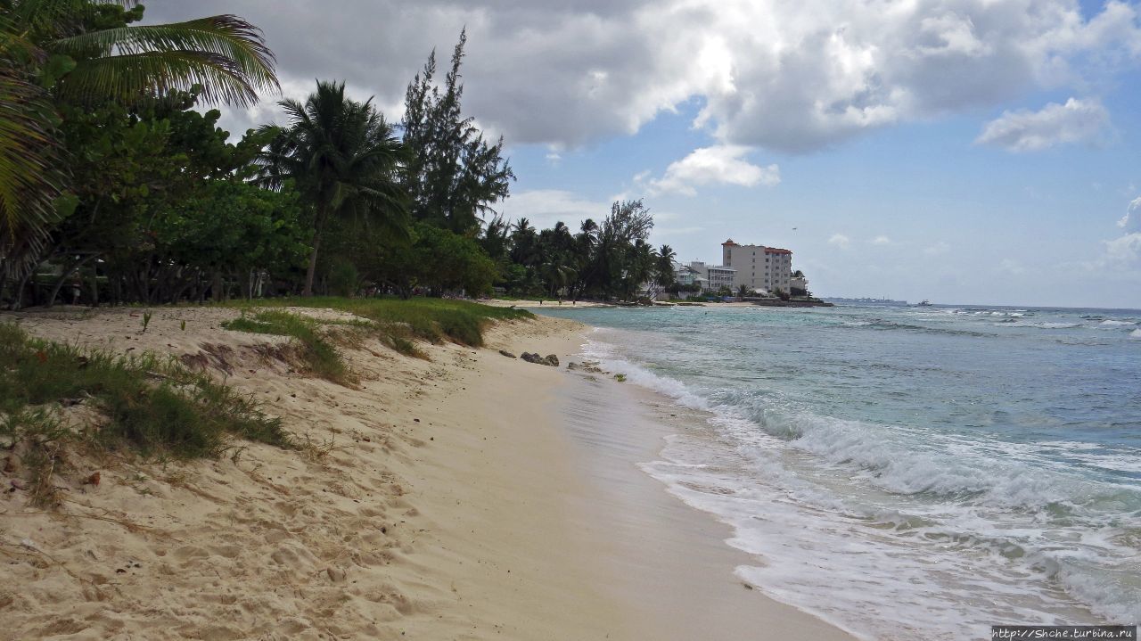 пляж Дрилл Холл Бриджтаун, Барбадос