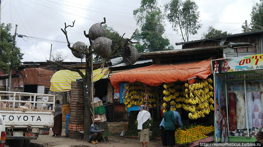 Рынок у подножия Энтото Аддис-Абеба, Эфиопия