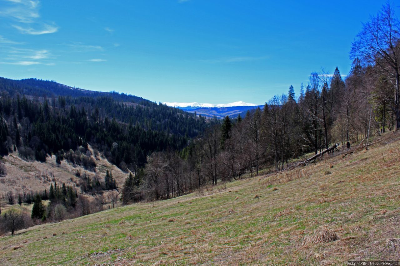 Медвежья тропа Волосянка, Украина