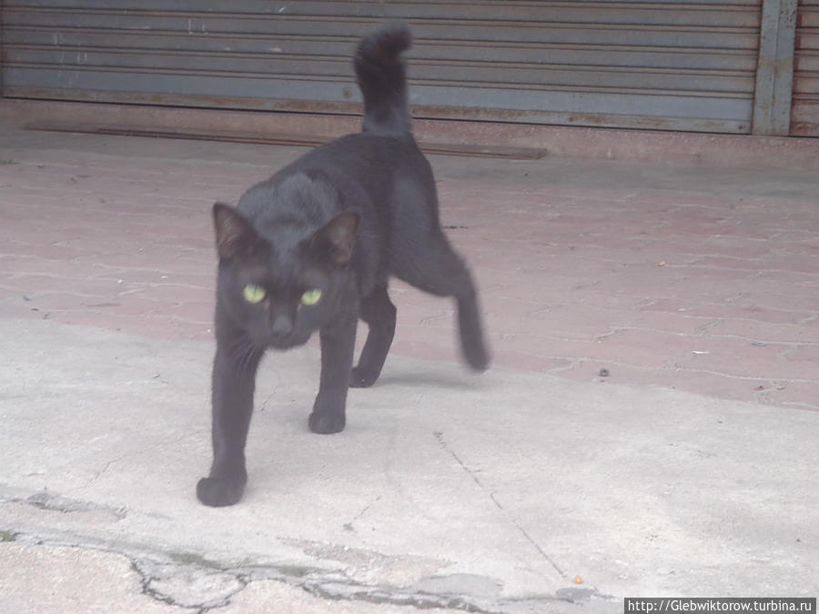 Город Самут-Сонгхрам Самут-Сонгкхрам, Таиланд