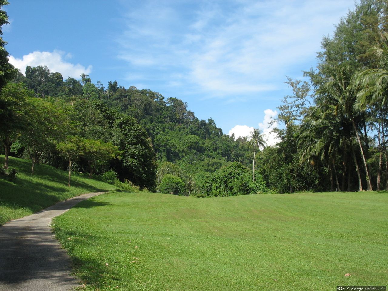 Поход в джунгли на острове Тиоман Пулау-Тиоман, Малайзия