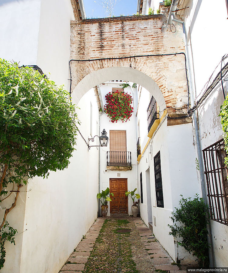 Знаменитые внутренние дворики Кордобы. Patios de Córdoba Кордова, Испания