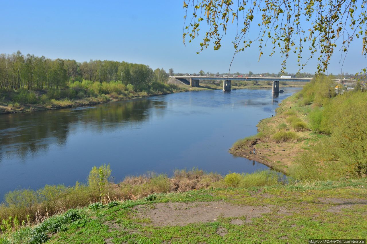 Софийский собор. Крылья белого Ангела