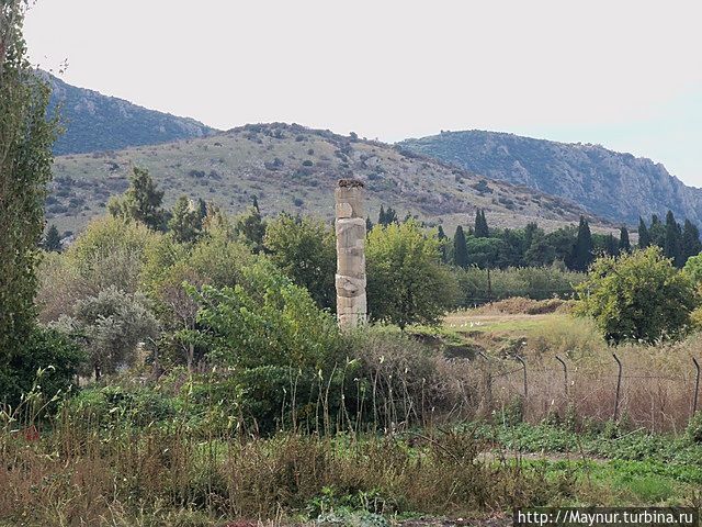 Столб храма Артемиды виден издалека. Сельчук, Турция