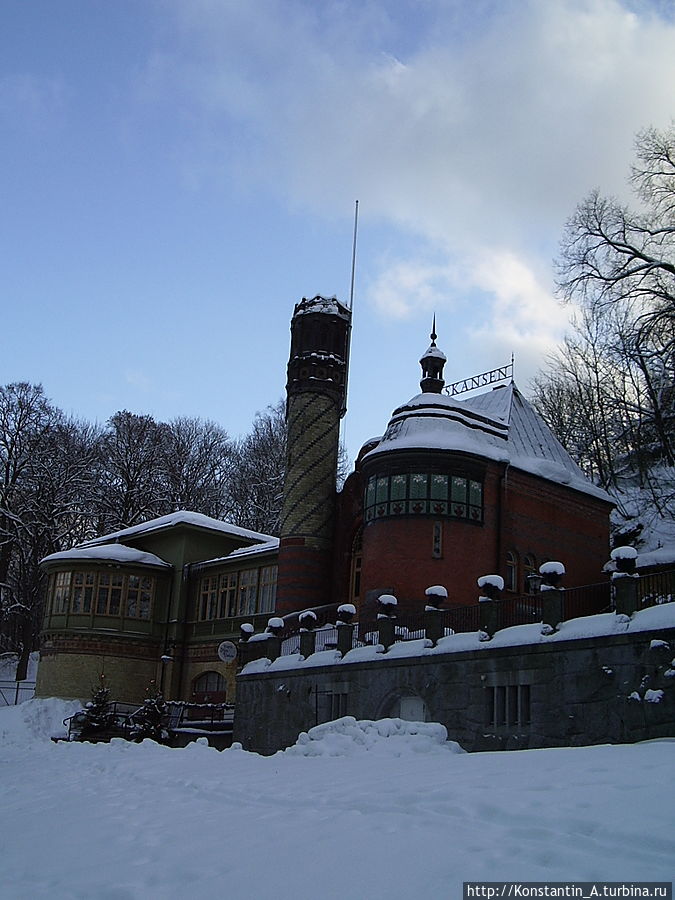 возле  парка Skansen-1 Стокгольм, Швеция