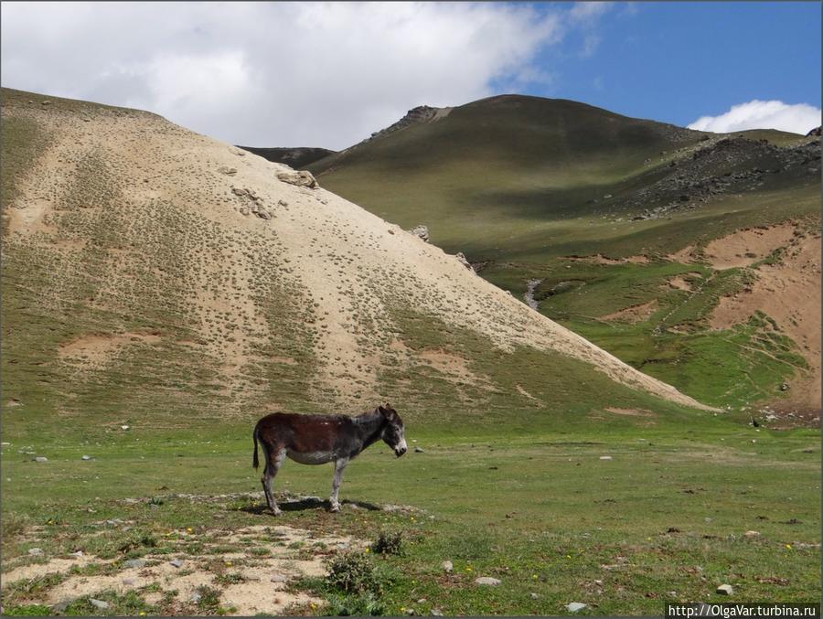 Сусамырская долина. Фотозарисовка Чуйская область, Киргизия