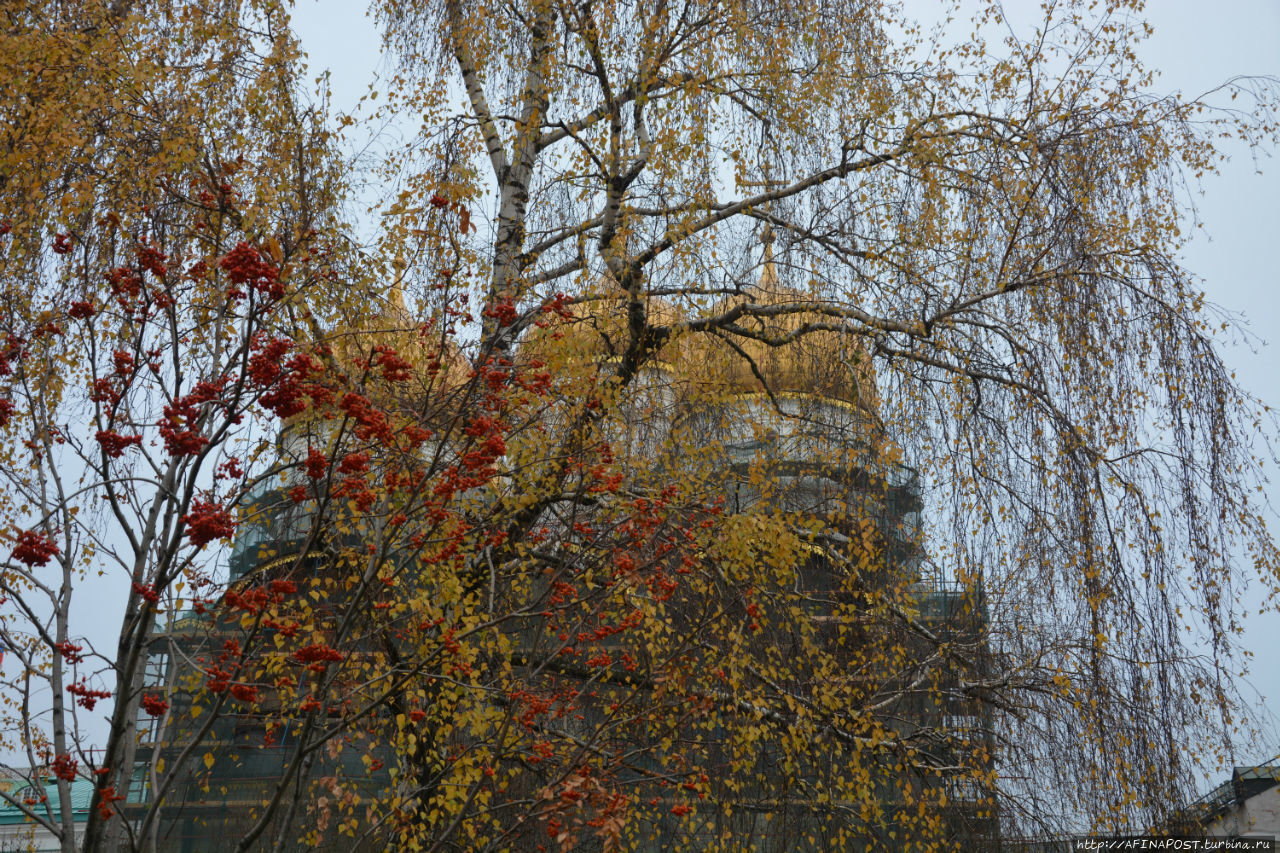 Московский Кремль Москва, Россия