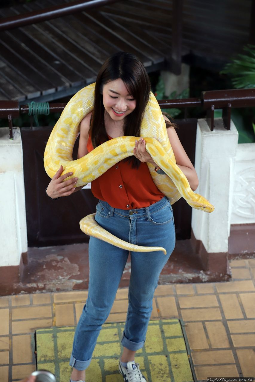 Змеиная ферма Бангкок, Таиланд