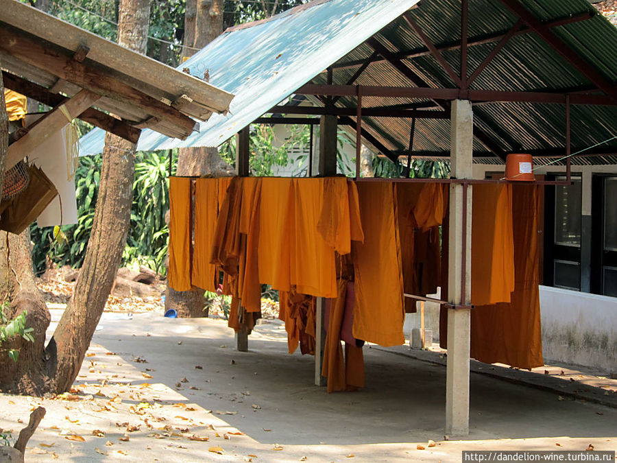 Лесной монастырь Ват Умонг (Wat Umong) Чиангмай, Таиланд