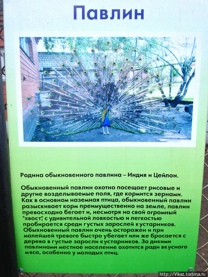 На каждом вольере висит информация о тех, кто тут обитает Барнаул, Россия